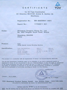 西班牙資質證書6