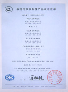 葡萄牙資質(zhì)證書5